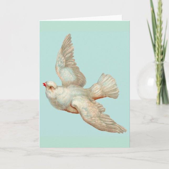  beautiful white dove card (Front)