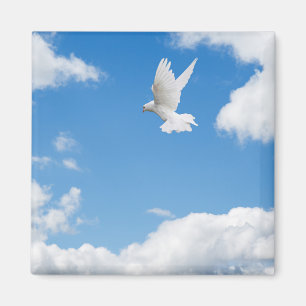 Beautiful white dove flying high magnet