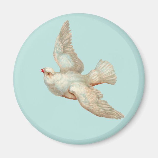  beautiful white dove magnet (Front)