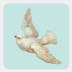 beautiful white dove square sticker