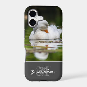 Beautiful white duck swimming on garden pond!