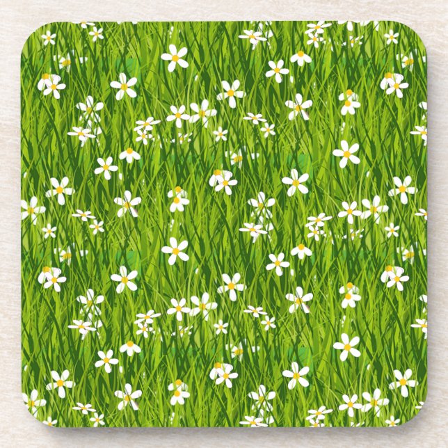 Beautiful White Flowers on Green Leaves Coaster (Front)