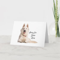 Beautiful White German Shepherd Sorry for Your Los