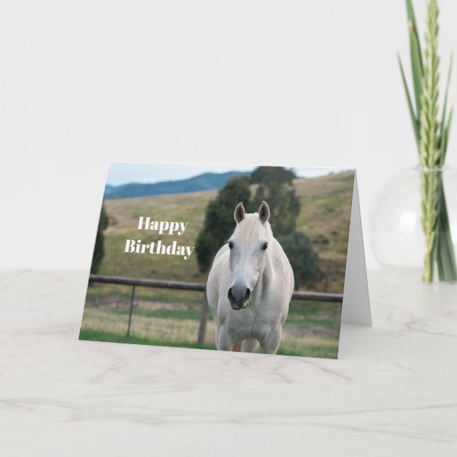 Beautiful White Horse Appaloosa Photo Birthday Card (Front)