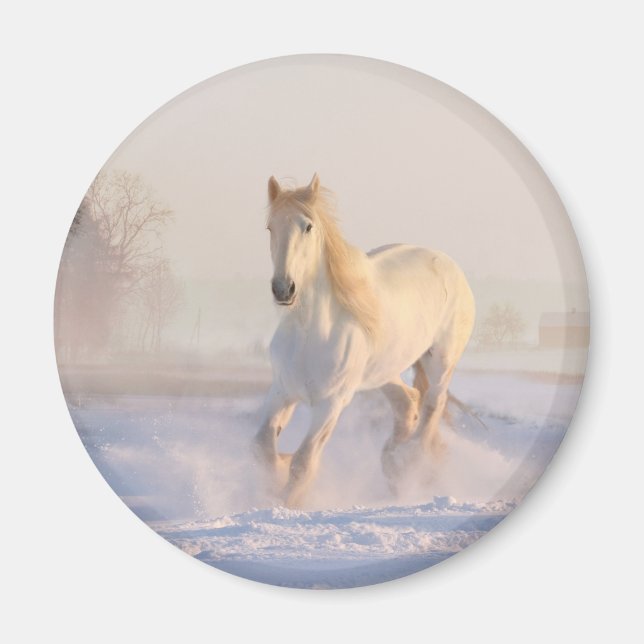Beautiful White Horse Galloping in the Snow Magnet (Front)