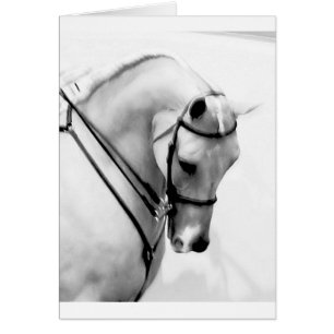 Beautiful white Horse head