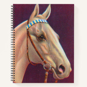 beautiful white horse notebook