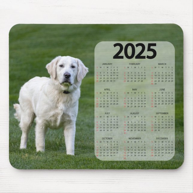 Beautiful White Labrador 2025 Dog Calendar Mouse Pad (Front)