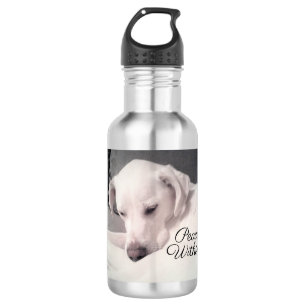 Beautiful White Labrador Mix Dog Peace Within Stai 532 Ml Water Bottle