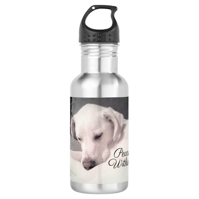Beautiful White Labrador Mix Dog Peace Within Stai 532 Ml Water Bottle (Front)