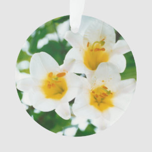 Beautiful White lilies - Lilium candidum Ornament