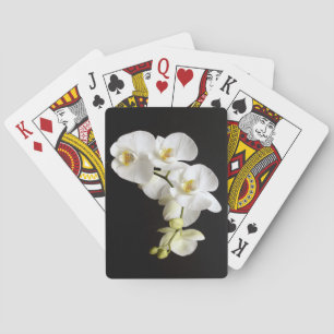 Beautiful White Orchid with Black Background Playing Cards