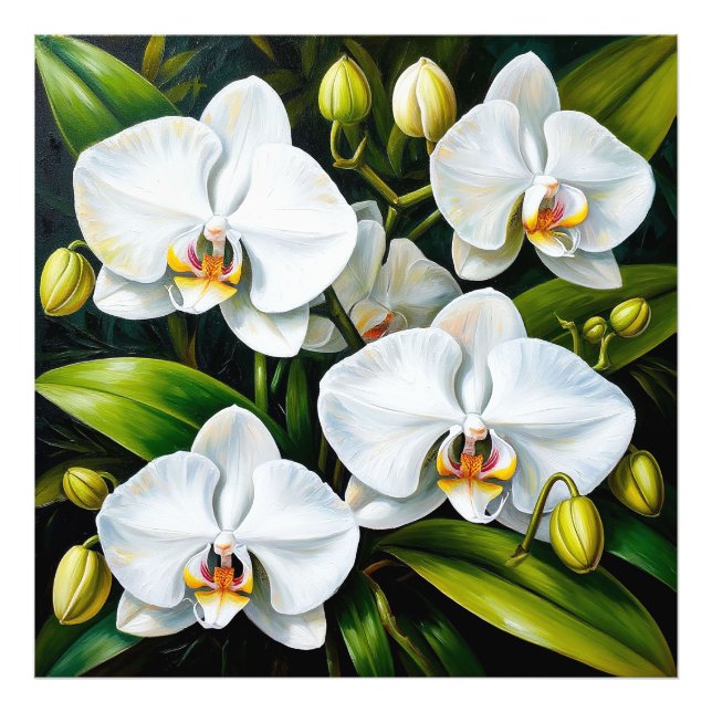 beautiful White Orchids Photo Print (Front)