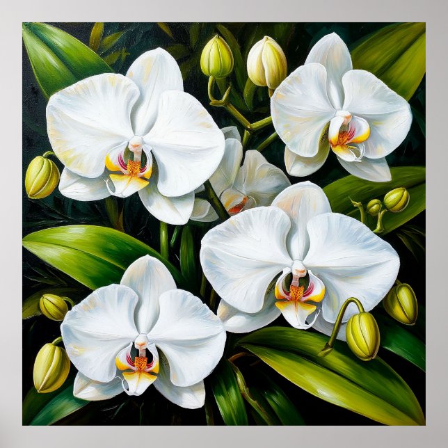 beautiful White Orchids Poster (Front)