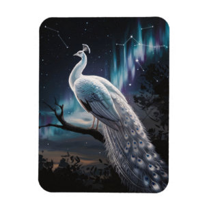 Beautiful White Peacock Aurora Borealis Scenic Magnet