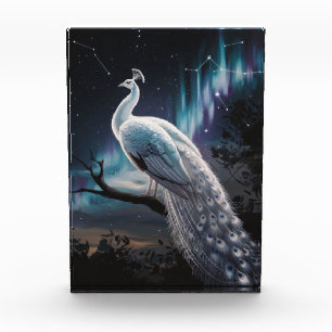 Beautiful White Peacock Aurora Borealis Scenic Photo Block