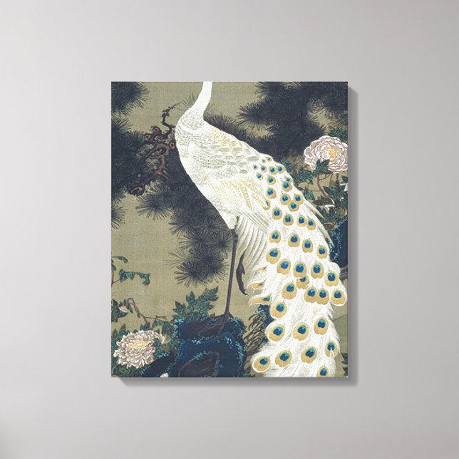 Beautiful White Peacock Japanese Canvas Print (Front)