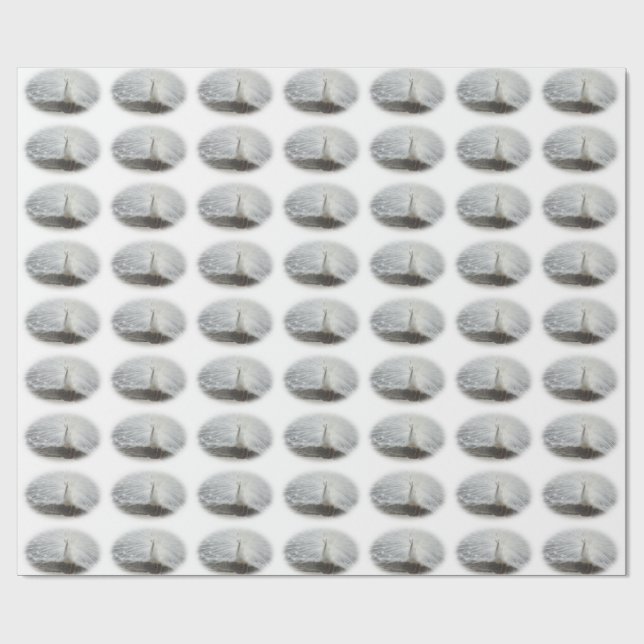 Beautiful White Peacock Wrapping Paper (Flat)