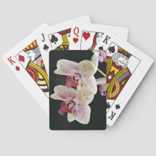 Beautiful White & Pink Orchid w/Black Background Playing Cards