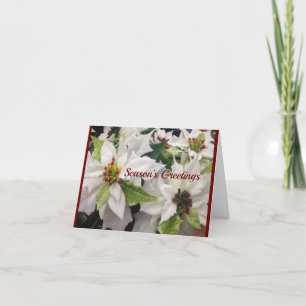 Beautiful White Poinsettia Christmas Holiday Card