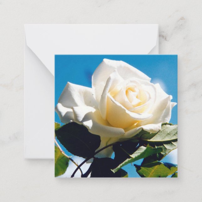 Beautiful White Rose   Card (Front)