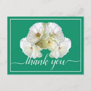 Beautiful White Rose Colour Backdrop Chic Thank Yo Postcard