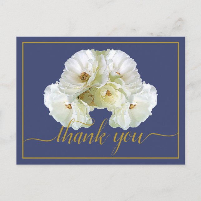 Beautiful White Rose Colour Backdrop Chic Thank Yo Postcard (Front)