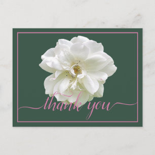 Beautiful White Rose Colour Backdrop Chic Thank Yo Postcard