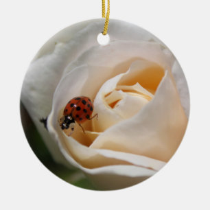 beautiful white rose flower and ladybug ceramic tree decoration