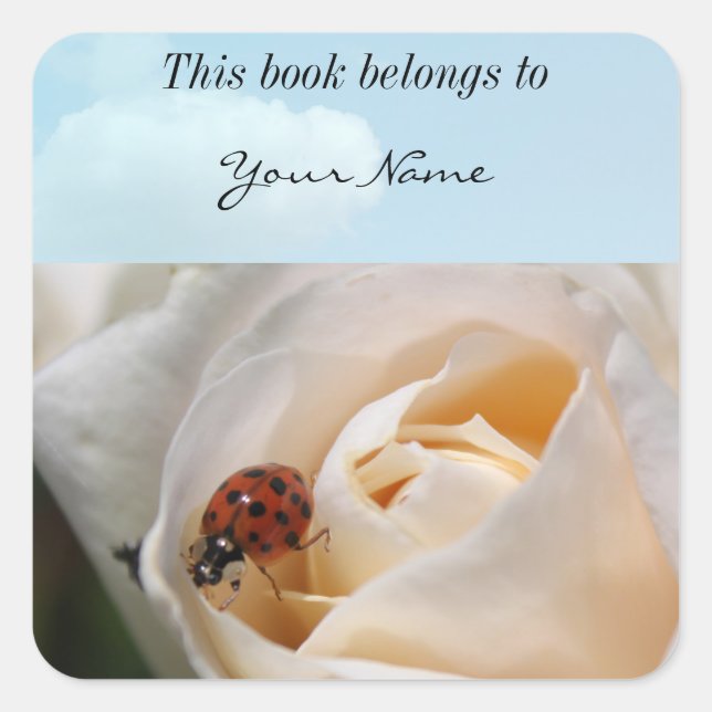 beautiful white rose flower and ladybug square sticker (Front)