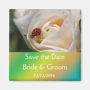 Beautiful white rose flower save the date magnet