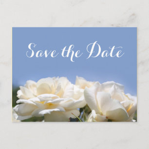 beautiful white rose flowers save the date announcement postcard