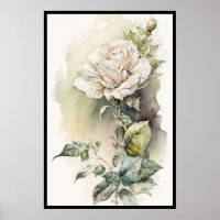 Beautiful White Rose Watercolor