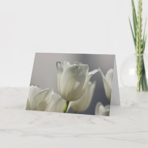 Beautiful White Spring Tulips Card