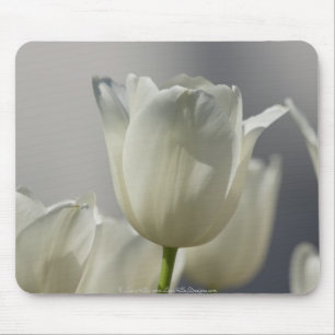 Beautiful White Spring Tulips Mouse Pad