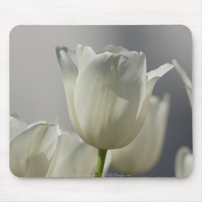 Beautiful White Spring Tulips Mouse Pad (Front)