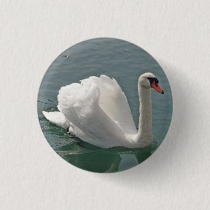 Beautiful white swan 3 cm round badge