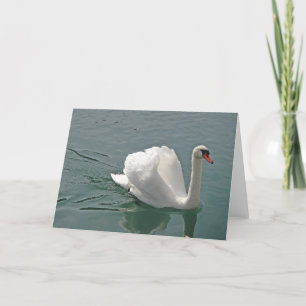 Beautiful white swan card