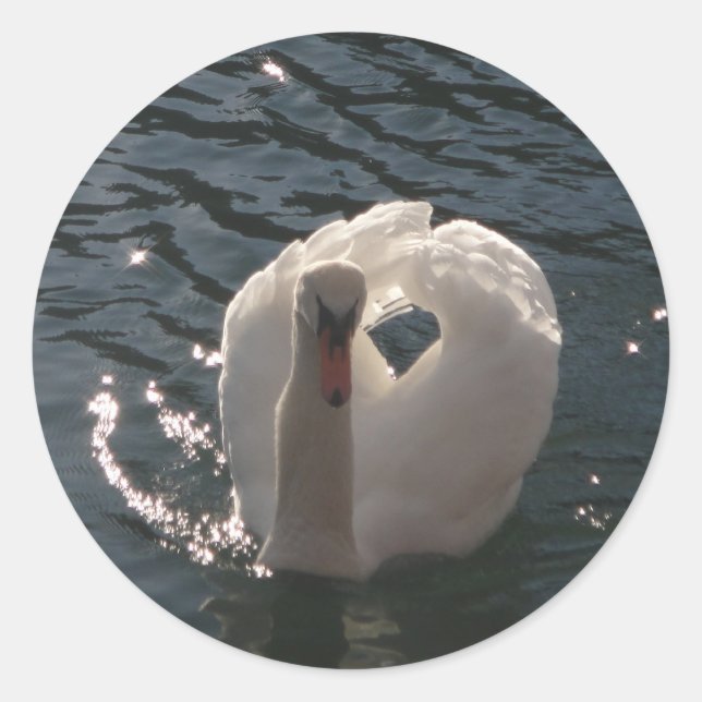 Beautiful white swan classic round sticker (Front)