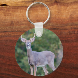 Beautiful White-tailed Buck Deer in Field Key Ring