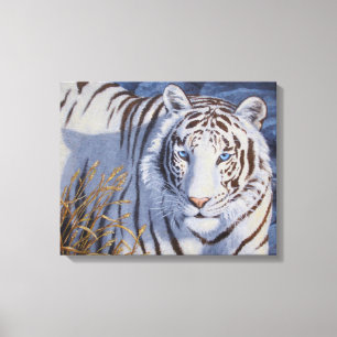 Beautiful White Tiger with Crystal Blue Eyes Canvas Print