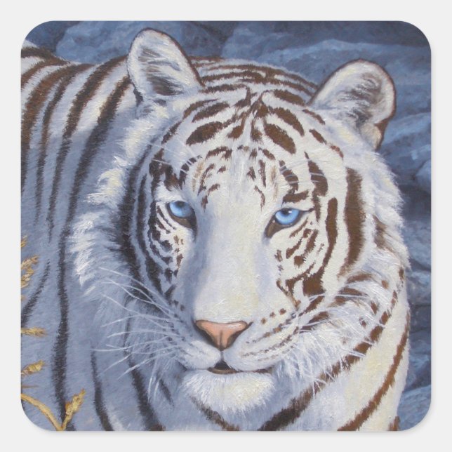 Beautiful White Tiger with Crystal Blue Eyes Square Sticker (Front)
