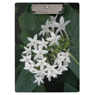 Beautiful White Tropical Flowers Clipboard
