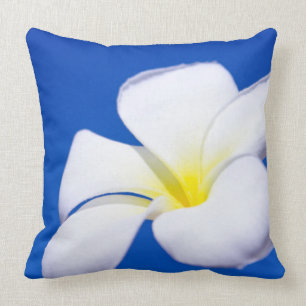 Beautiful White Tropical Plumeria and Blue Sky Cushion