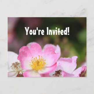 beautiful wild pink rose flowers graduation party invitation postcard