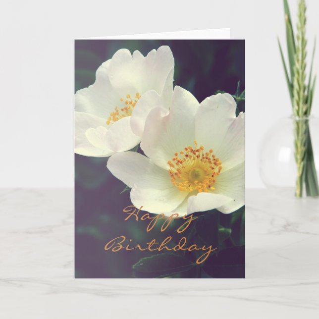 Beautiful Wild Rose Happy Birthday Card (Front)