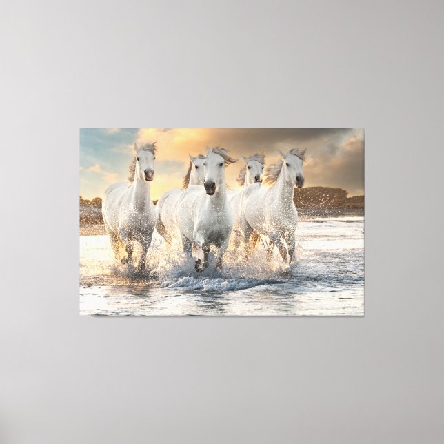 Beautiful Wild White Horses Canvas Print (Front)