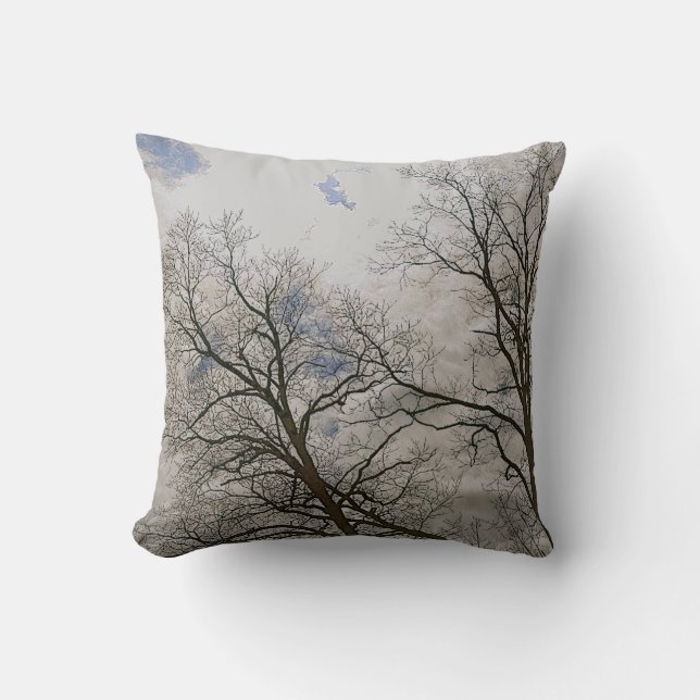 Beautiful Wilderness Scene from Nature Cushion (Front)