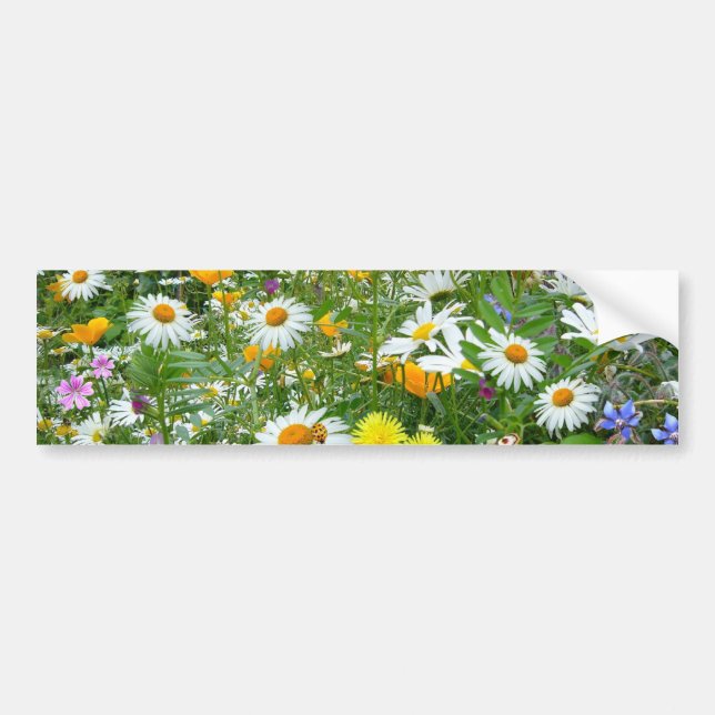 Beautiful Wildflower and Butterfly Meadow Bumper Sticker (Front)
