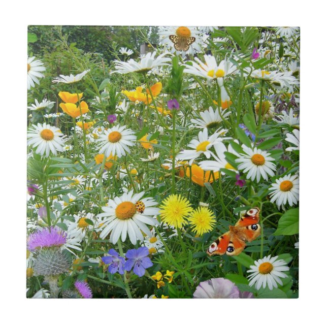 Beautiful Wildflower and Butterfly Meadow Tile (Front)